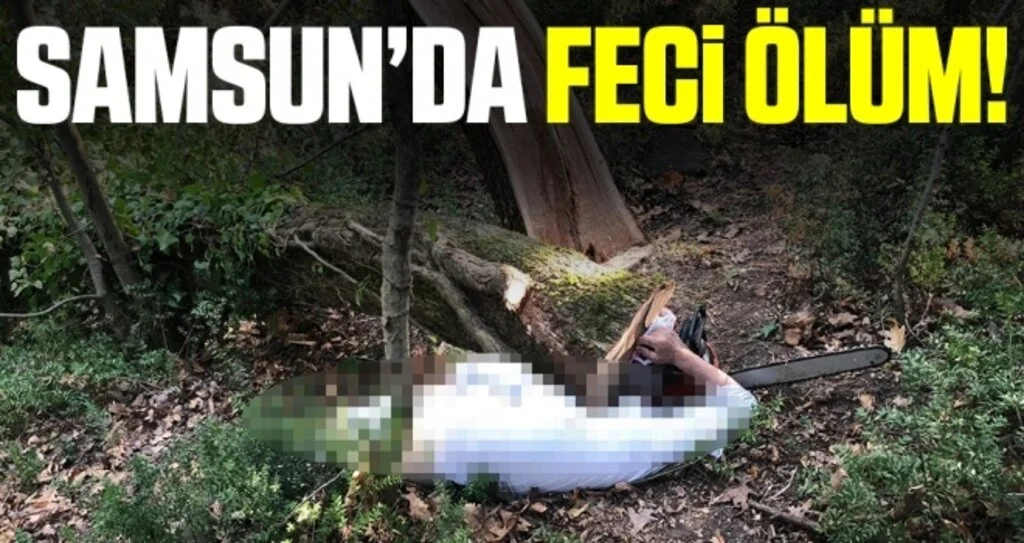 Samsun'da kestiği ağacın altında kalan şahıs öldü
