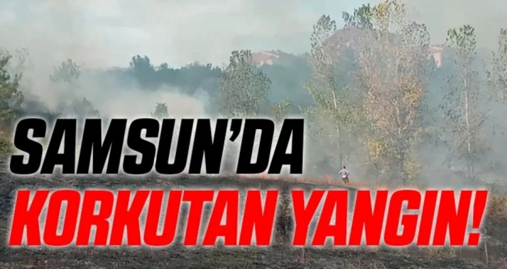 Samsun'da Korkutan Anız Yangını