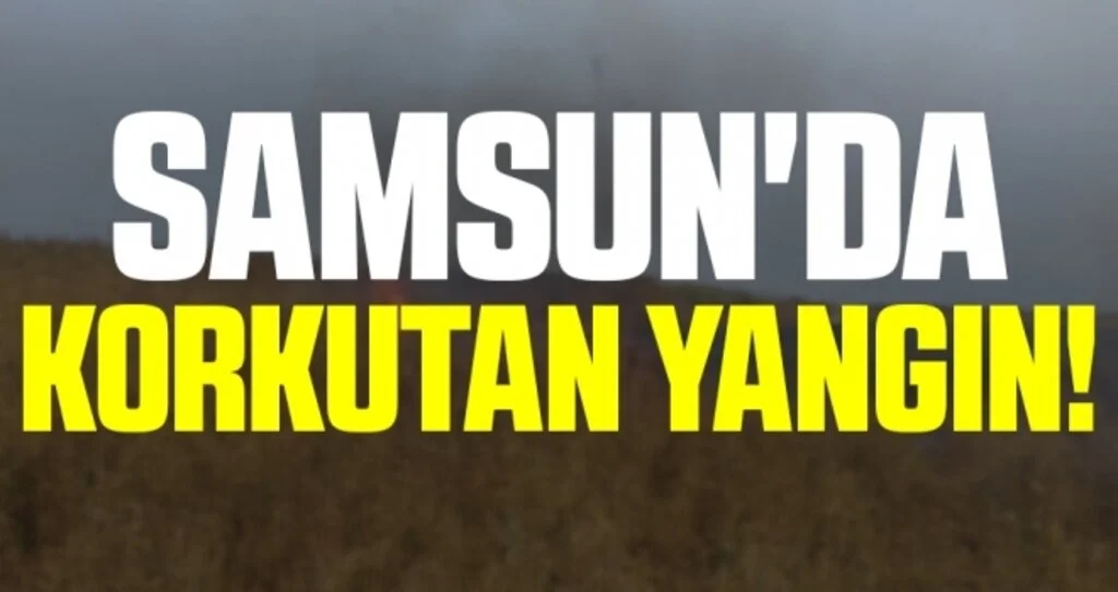 Samsun'da Korkutan Sazlık Yangını!