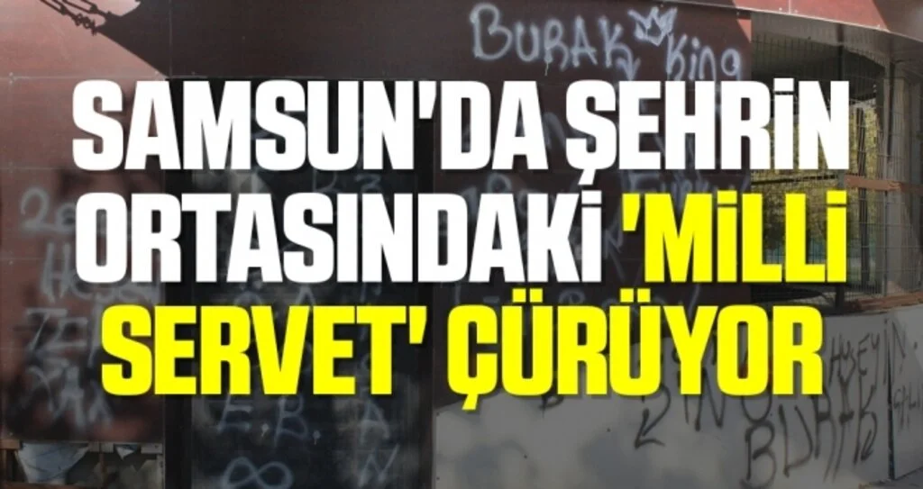 Samsun'da Şehrin ortasındaki 'milli servet' çürüyor