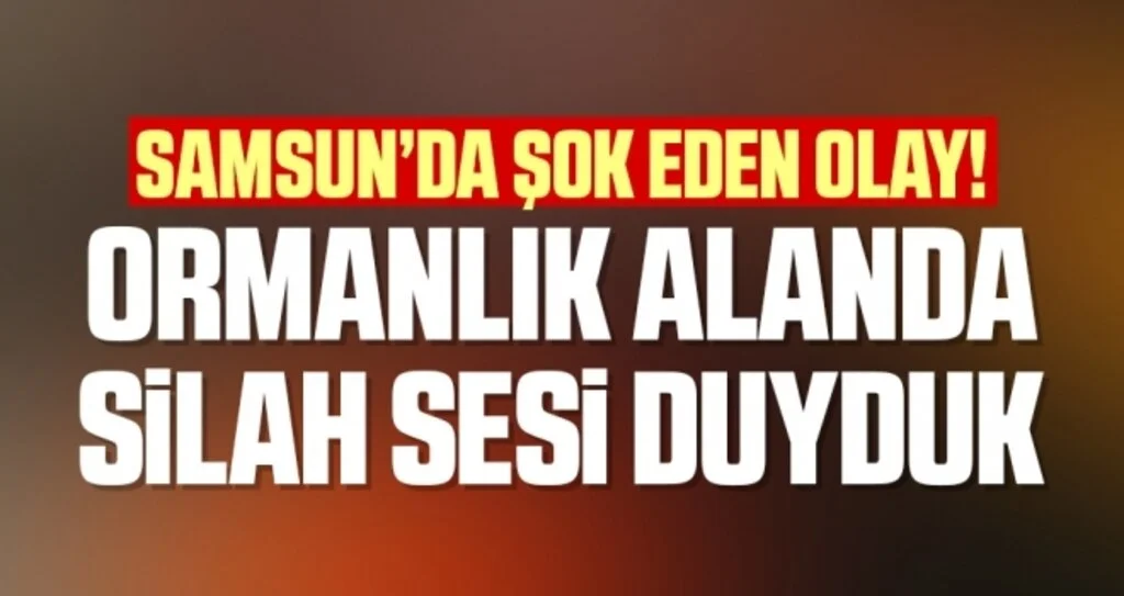 Samsun'da Şok Eden Olay! Ormanlık Alanda Silah Sesi Duyduk