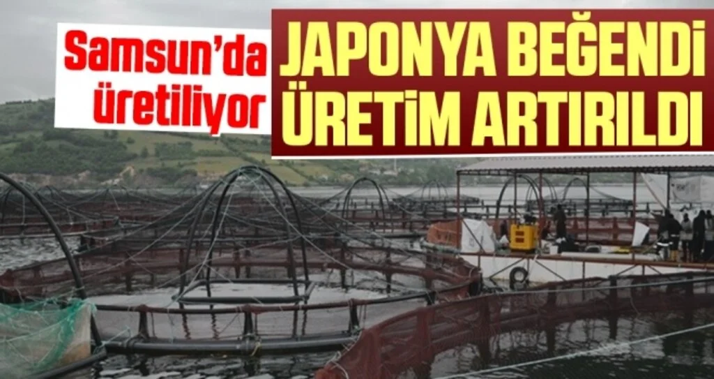 Samsun'da Üretiliyor! Japonya beğendi, üretim artırıldı