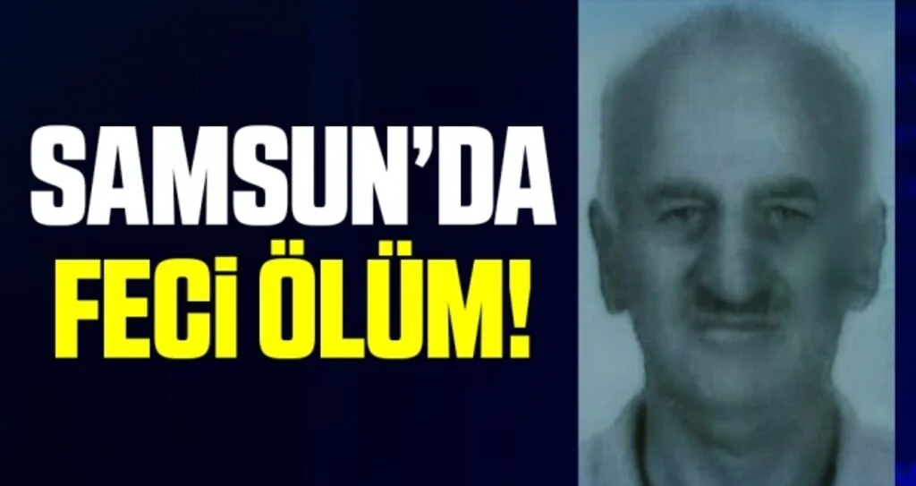 Samsun'da üzerine ağaç düşen şahıs hayatını kaybetti