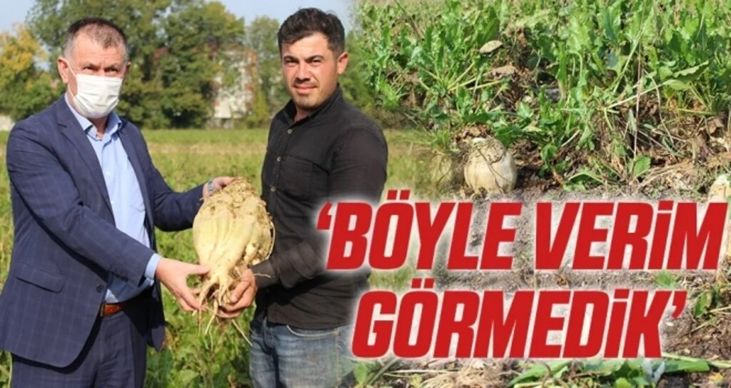 Şeker pancarı üreticileri: "Böyle verim görmedik"