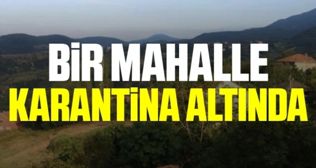 Sinop'ta Bir Mahalle Karantina Altında