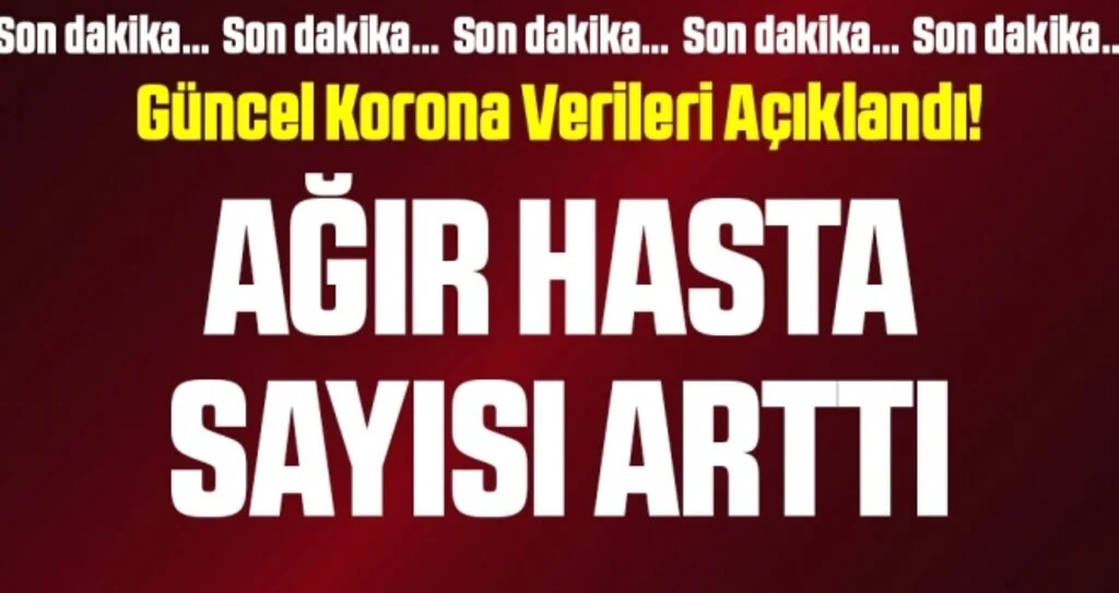 Son dakika… Güncel corona verileri açıklandı! İşte 31 Ekim tablosu