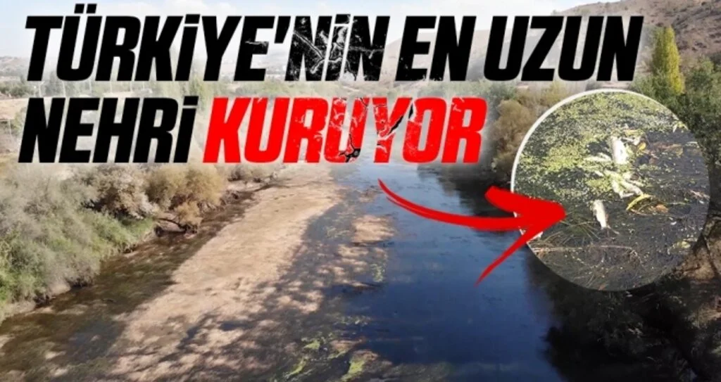 Türkiye'nin en uzun nehri kuruyor