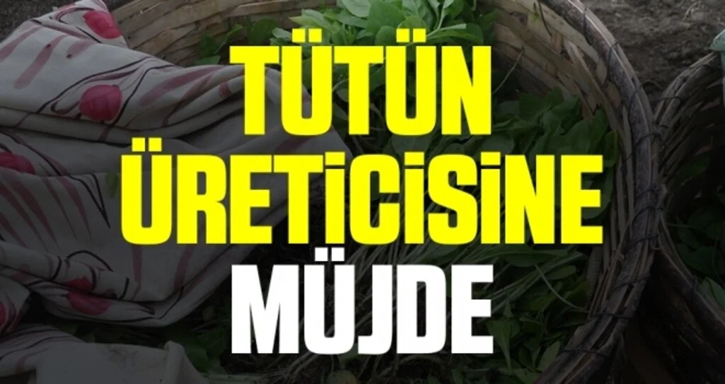 Tütün üreticisine müjde