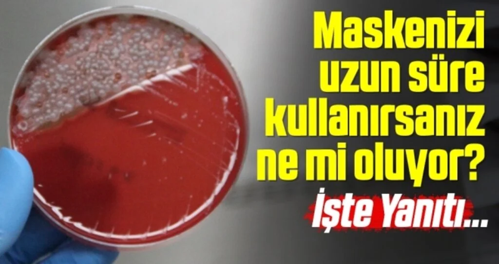 Uzun süre kullanılan maskedeki bakteriler laboratuvarda gözler önüne serildi