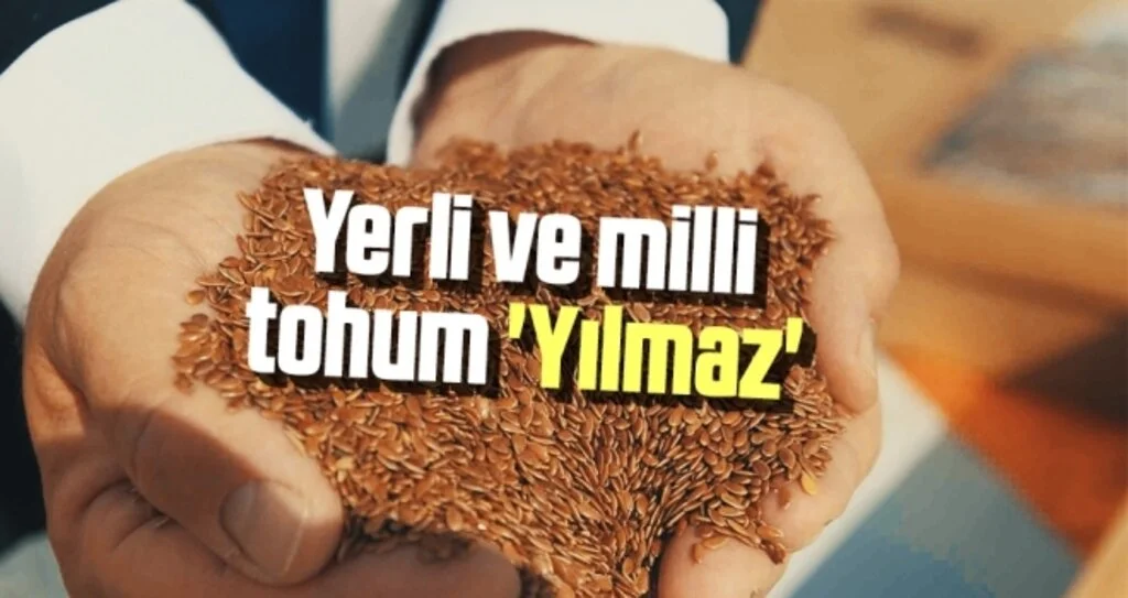 Yerli ve milli keten tohumu 'Yılmaz'