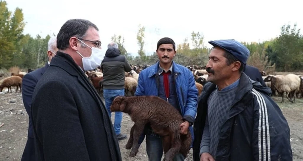 305 çiftçiye 26 bin 352  küçükbaş hayvan desteği