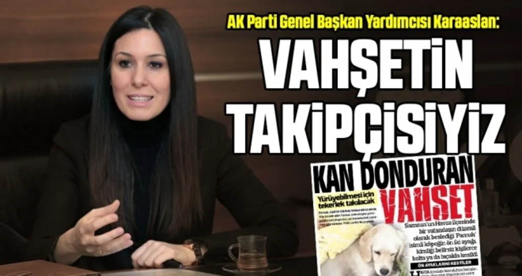 AK Parti Genel Başkan Yardımcısı Karaaslan: Vahşetin takipçisiyiz
