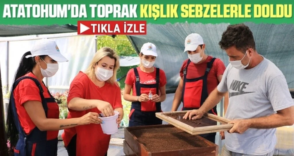 AtaTohum'da toprak kışlık sebzelerle doldu