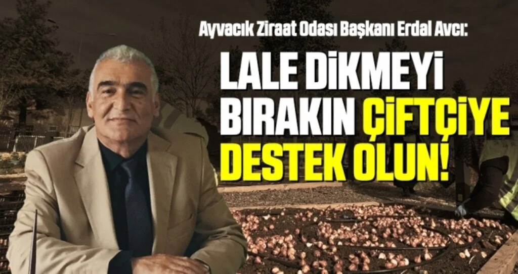 Ayvacık Ziraat Odası Başkanı Avcı: Lale dikmeyi bırakın çiftçiye destek olun!