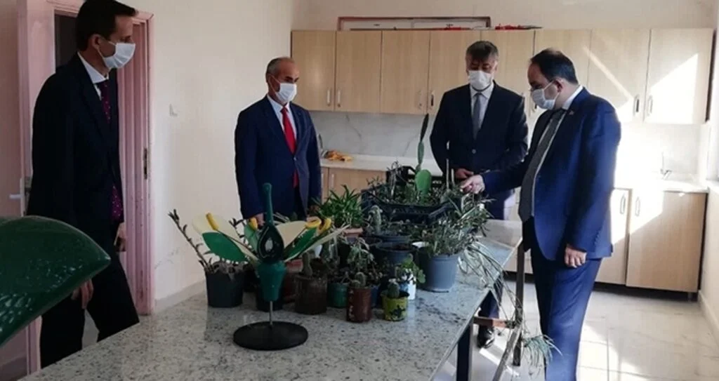 Bafra'nın 'Yeşil Elmas'ını üretiyor