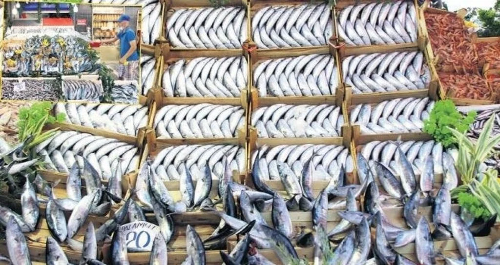 Balıkçı Esnafına Pandemi Dönemi Desteği