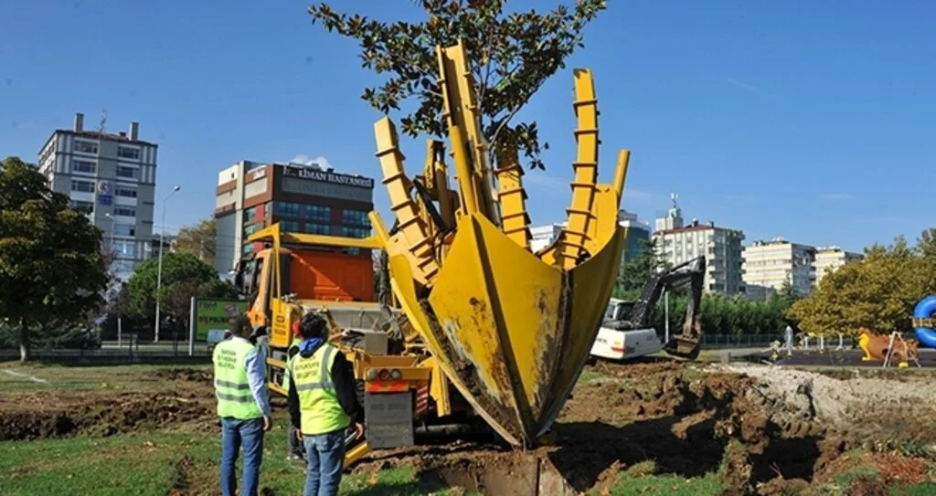 Büyükşehir'den ağaç hassasiyeti