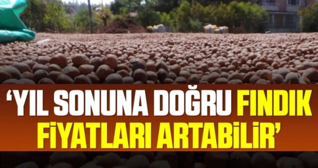 Çarşamba Ziraat Odası Başkanı Aydemir: Yıl sonuna doğru fındık fiyatının artmasını bekliyoruz