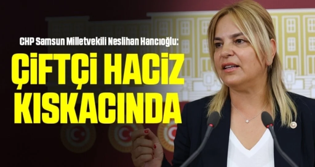 CHP Samsun Milletvekili Neslihan Hancıoğlu: Çiftçi haciz kıskacında