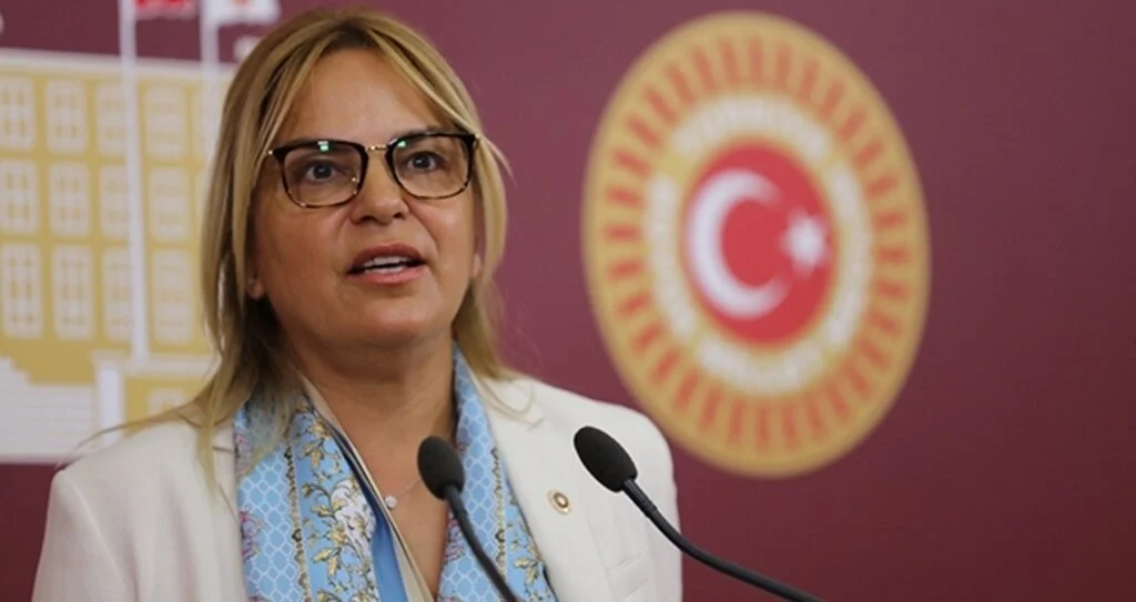 CHP Samsun Milletvekili Neslihan Hancıoğlu: Varlık Fonu'ndan  devir kabul edilemez