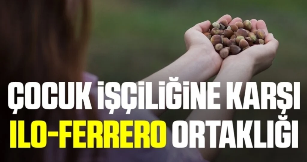 Çocuk işçiliğine karşı ILO-Ferrero ortaklığı