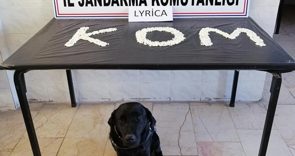 Evinden yüzlerce  sentetik hap çıktı 