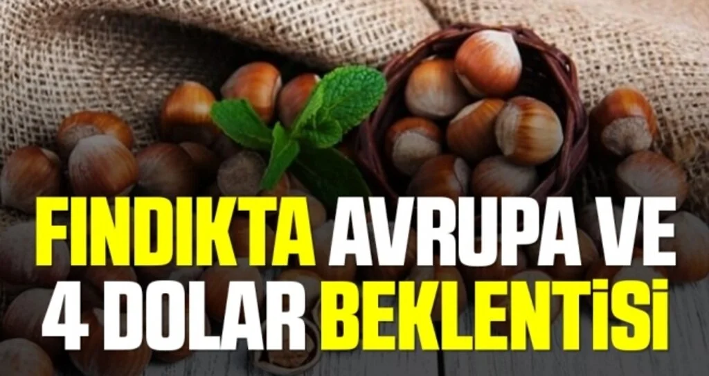 Fındıkta Avrupa ve 4 dolar beklentisi