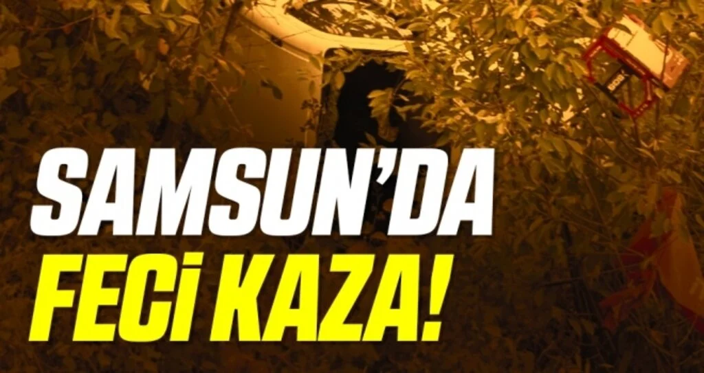 Hafif ticari araç şarampole devrildi: 4 yaralı