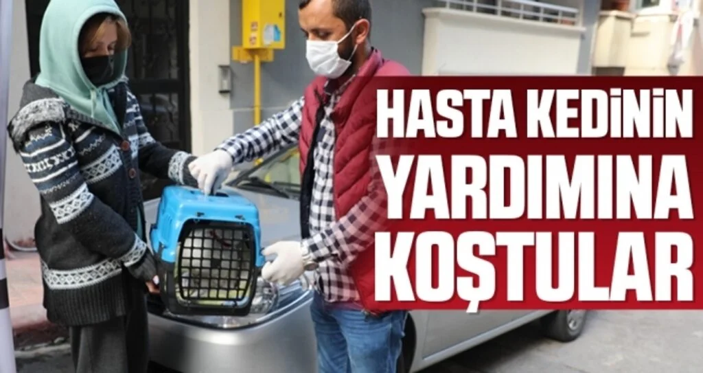 Hasta kedinin yardımına koştular 