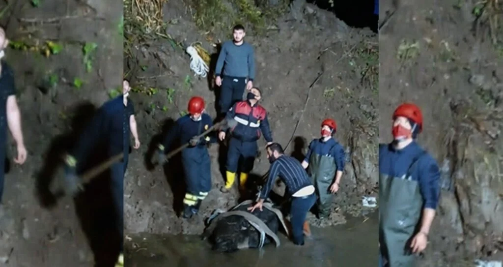 İtfaiye den inek operasyonu 