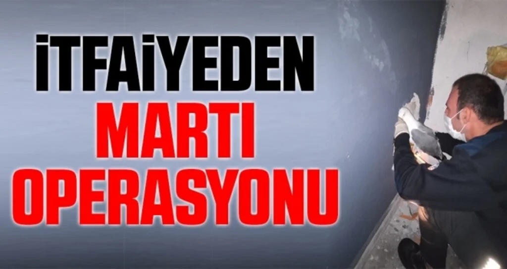 İtfaiyeden martı operasyonu