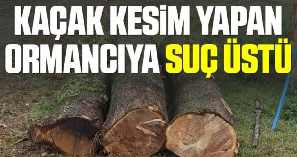 Kaçak kesim yapan ormancıya suç üstü