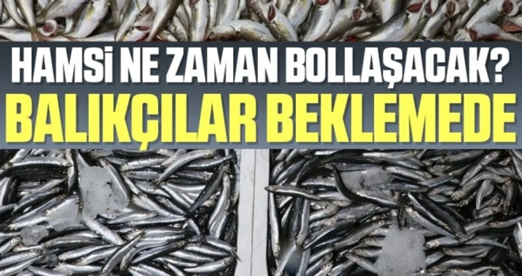 Karadeniz'de Balıkçılar Deniz Suyunun Soğumasını Bekliyor
