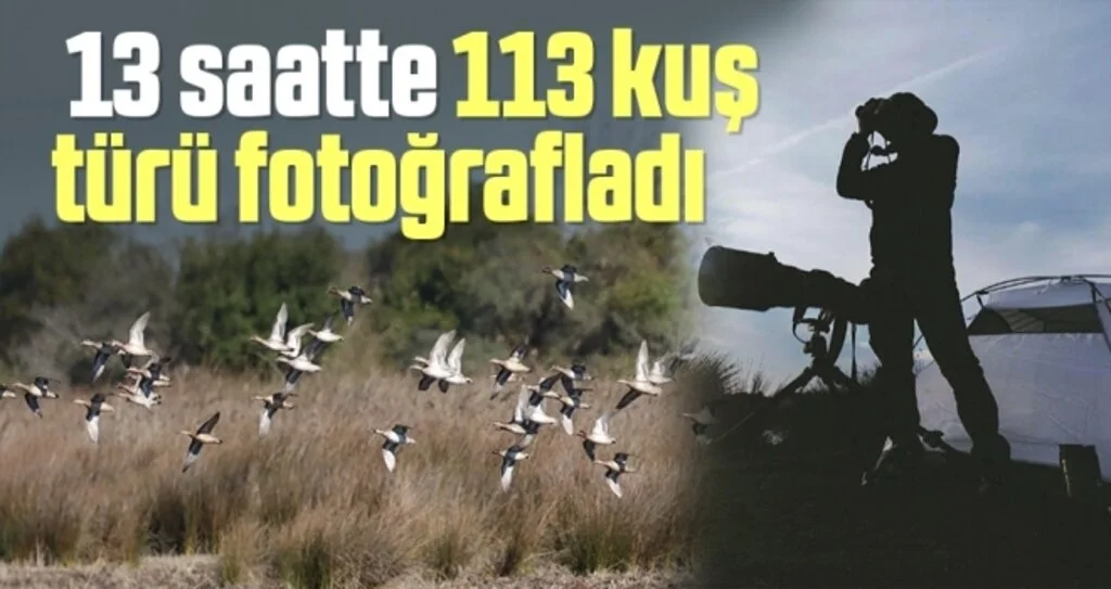 Kızılırmak Deltası'nda 13 saatte 113 kuş türü fotoğrafladı