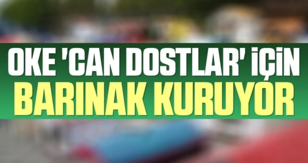 OKE 'can dostlar' için barınak kuruyor