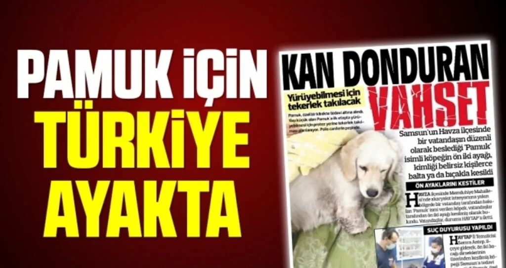 Pamuk İçin Türkiye Ayakta