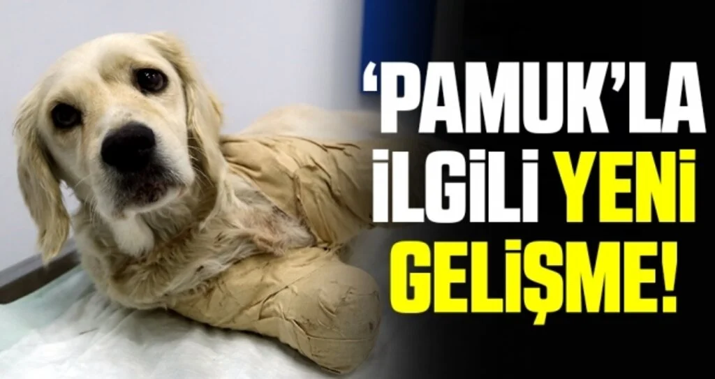 Pamuk'la İlgili Yeni Gelişme!