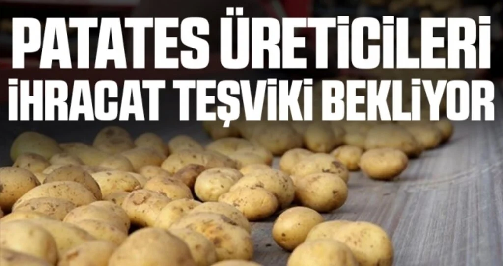 Patates üreticileri ihracat teşviki bekliyor