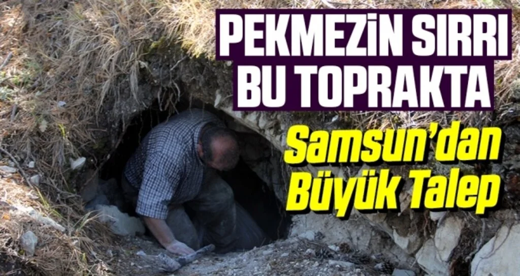 Pekmezin sırrı bu toprakta 