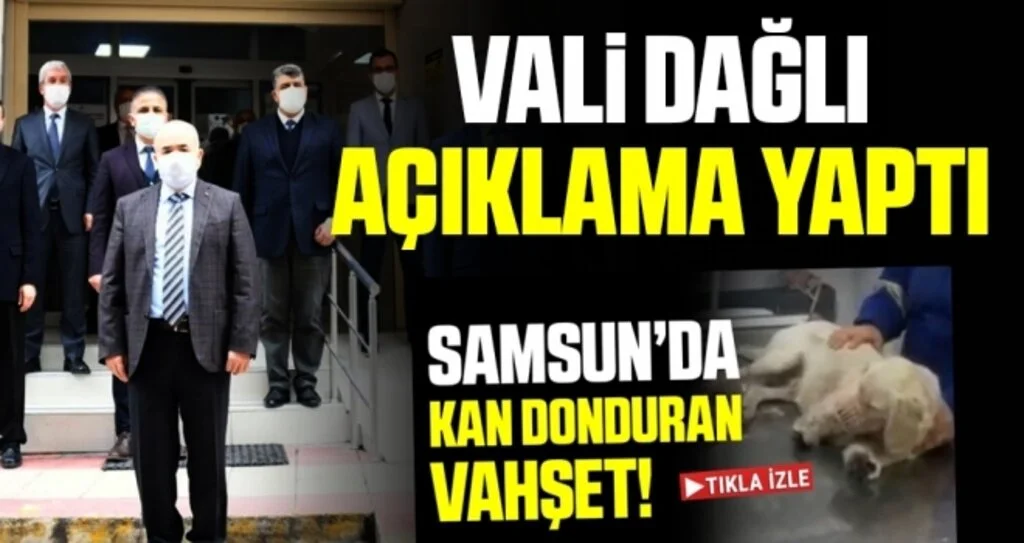 Samsun Valisi Zülkif Dağlı Köpeğe Yapılan Kan Donduran Vahşetle İlgili Açıklama Yaptı