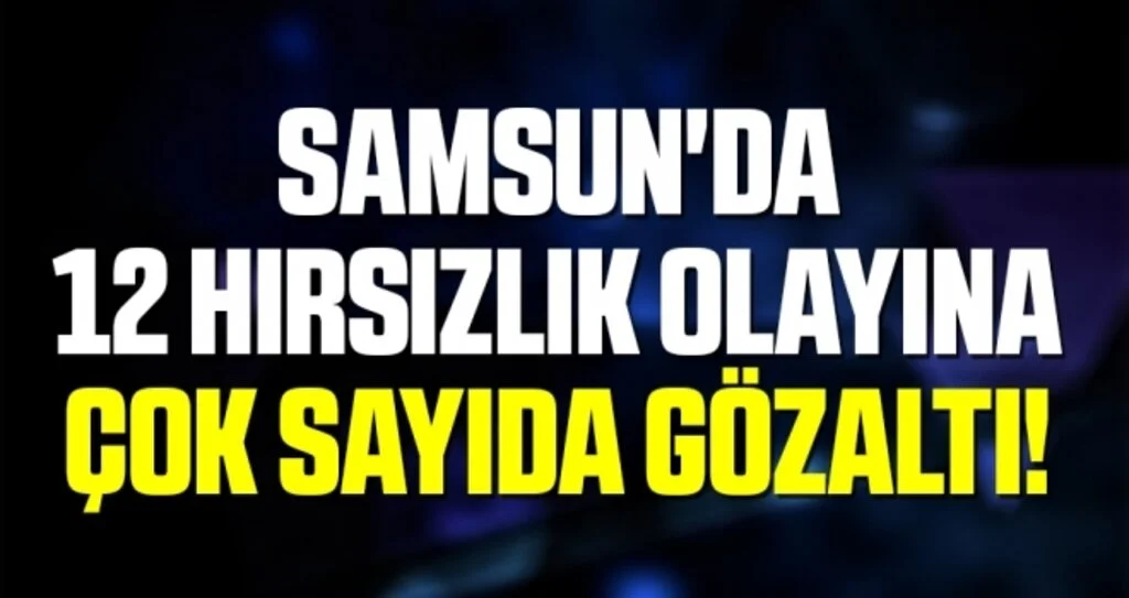 Samsun'da 12 Hırsızlık Olayına Çok Sayıda Gözaltı!