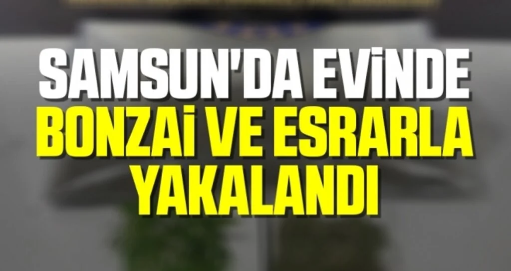 Samsun'da Evinde bonzai ve esrarla yakalandı