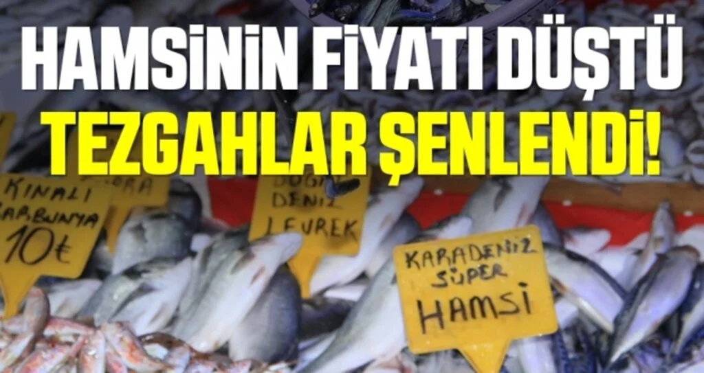 Samsun’da hamsi 10 TL’ye düştü, tezgahlar şenlendi