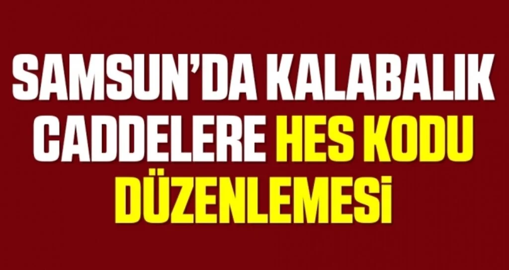 Samsun’da kalabalık caddelere HES kodu denetimi
