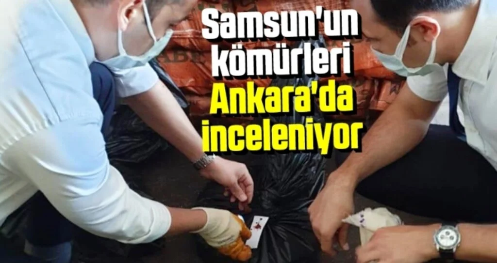 Samsun'un kömürleri Ankara'da inceleniyor