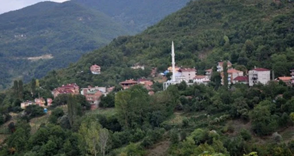 Sinop'ta bir mahalle karantinada