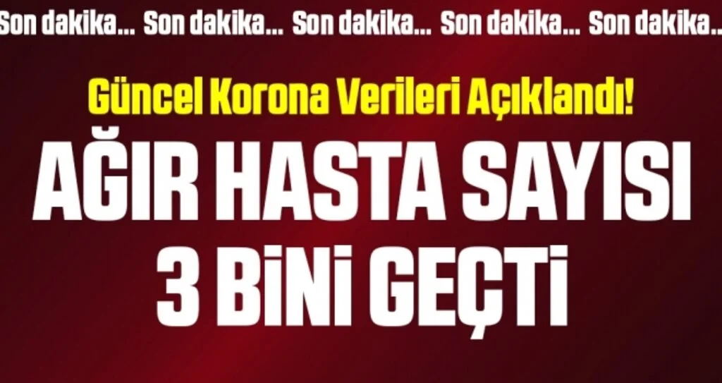 Son dakika… Corona virüsü verileri açıklandı! İşte 10 Kasım tablosu