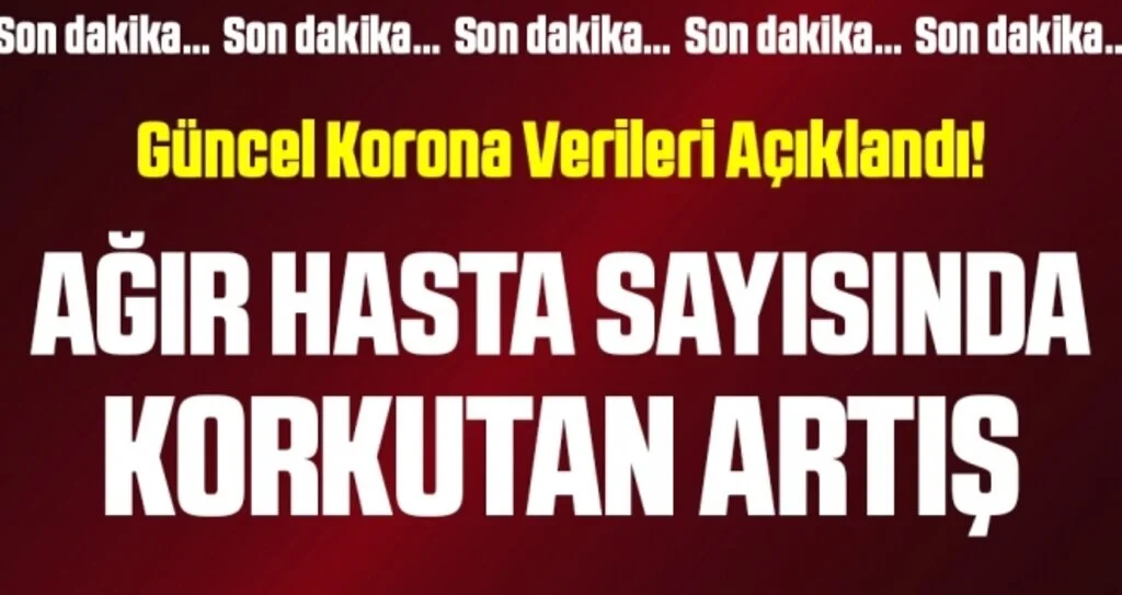 Son dakika… Güncel corona verileri açıklandı! İşte 9 Kasım tablosu