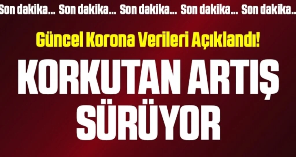 Son dakika… Güncel corona virüsü verileri açıklandı! İşte 19 Kasım tablosu