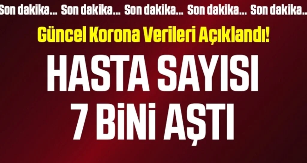 Son dakika… Güncel corona virüsü verileri açıklandı! İşte 24 Kasım tablosu